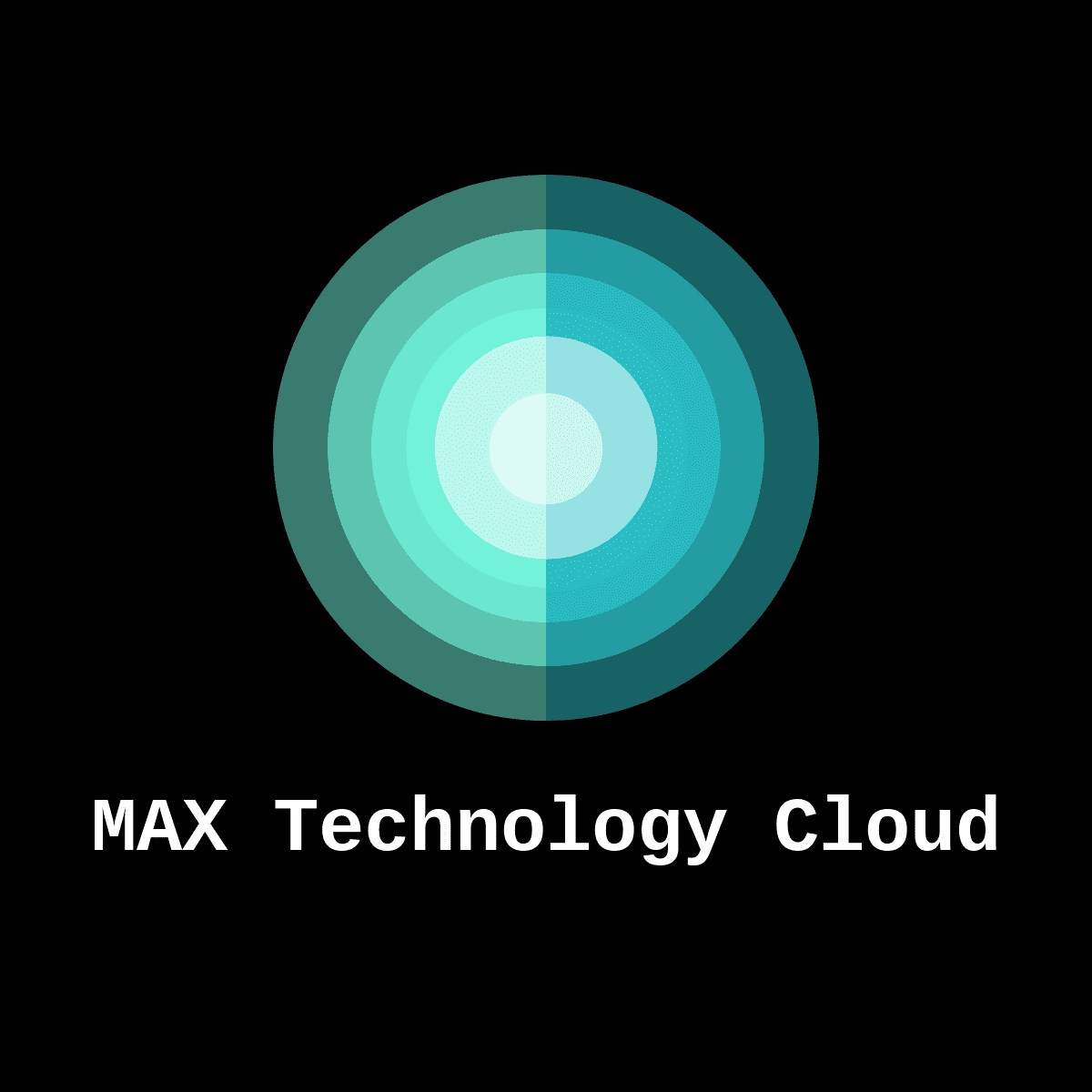 MAX科技云LOGO